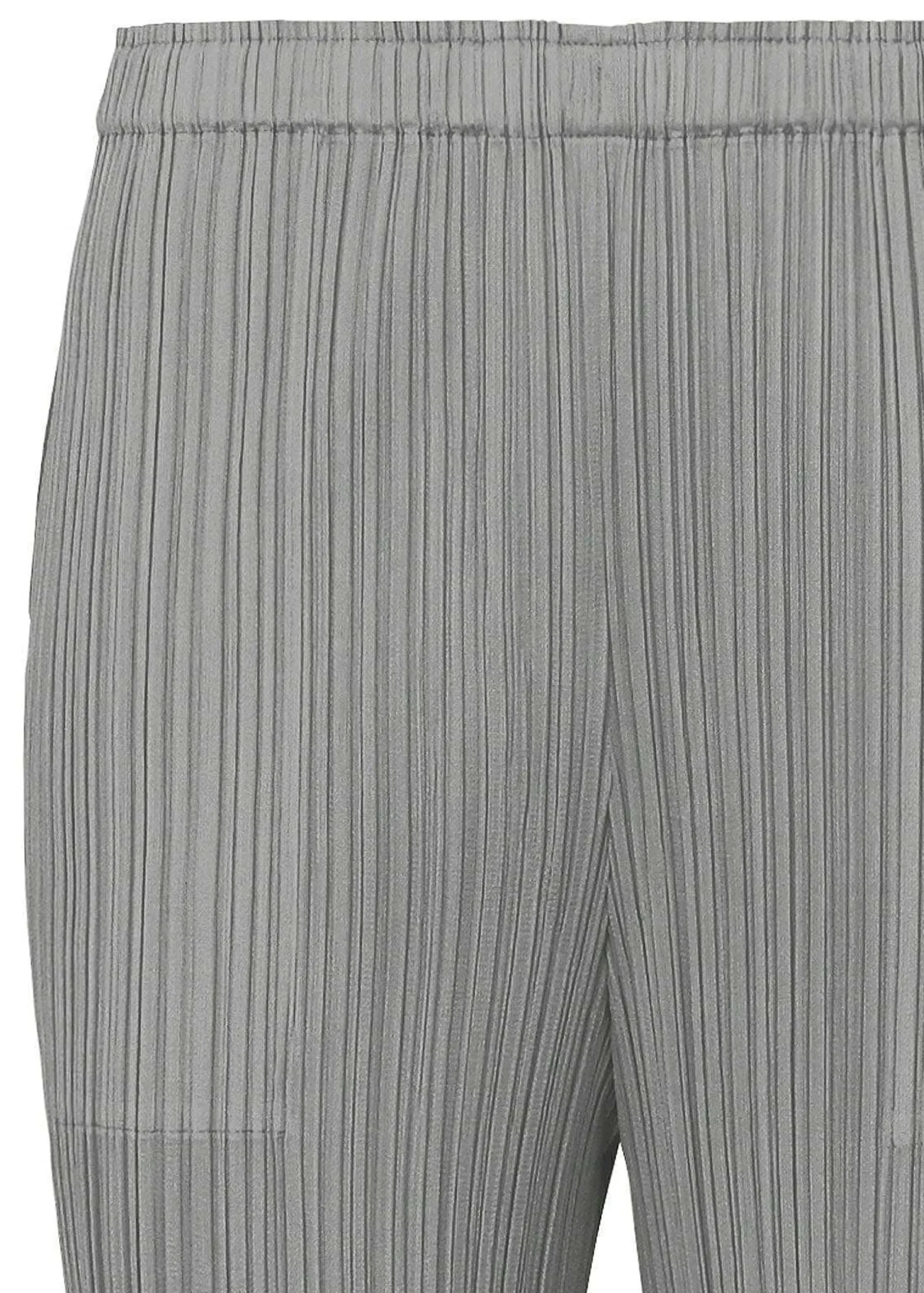 ISSEY MIYAKE Pants|Basics