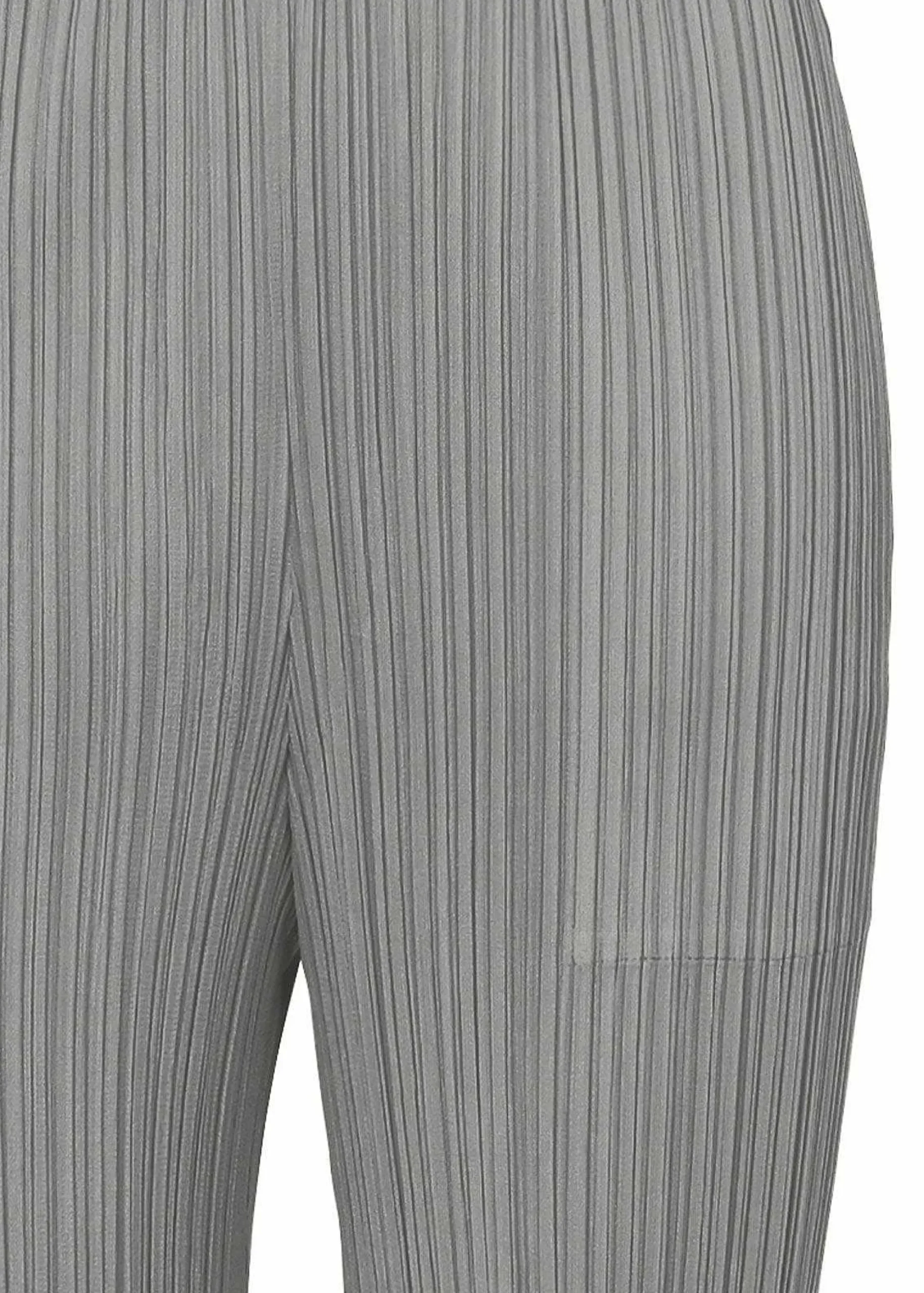 ISSEY MIYAKE Pants|Basics