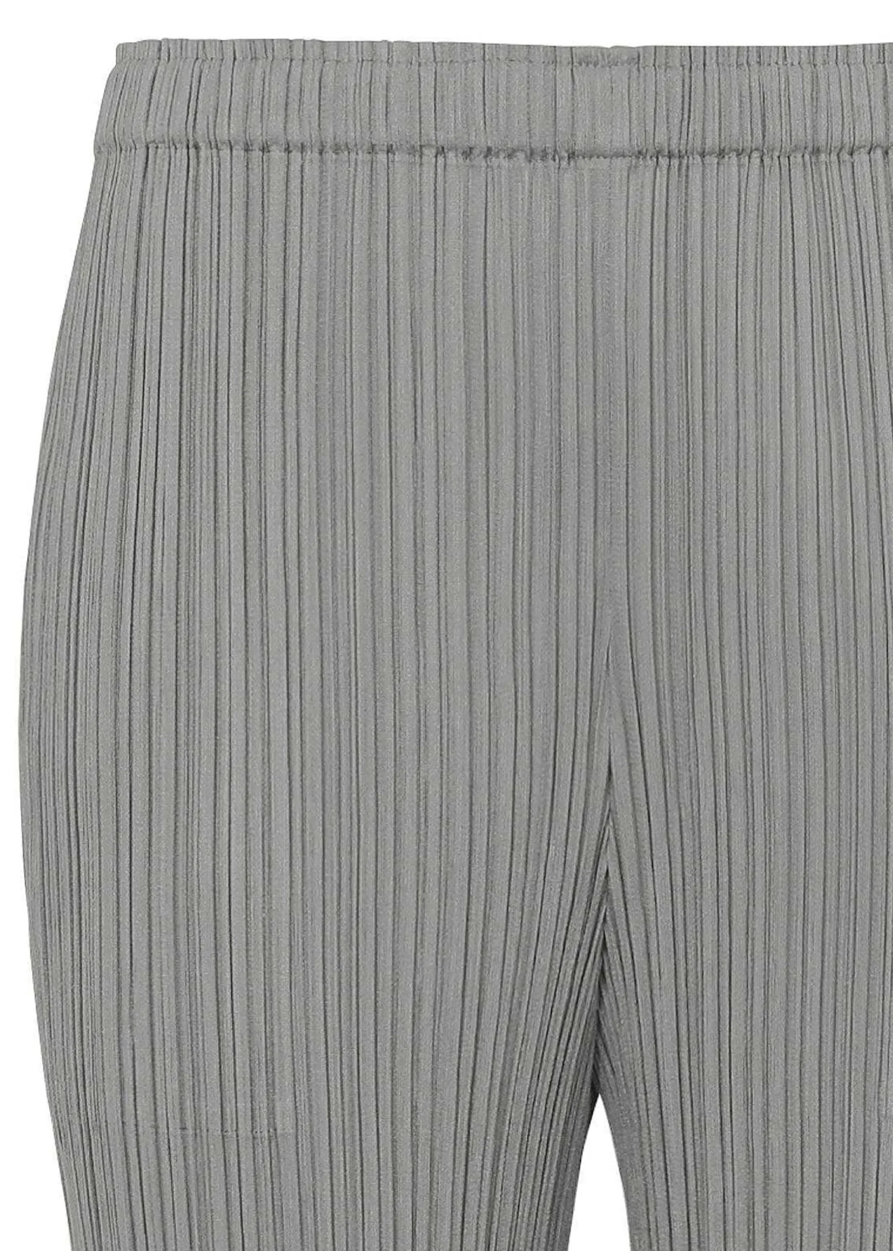 ISSEY MIYAKE Pants|Basics