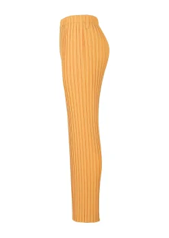 ISSEY MIYAKE Pants|Box Pleats Ensemble