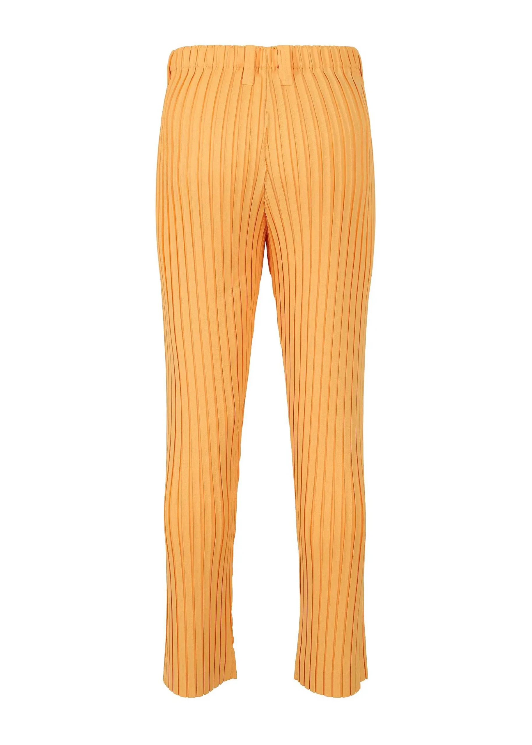 ISSEY MIYAKE Pants|Box Pleats Ensemble