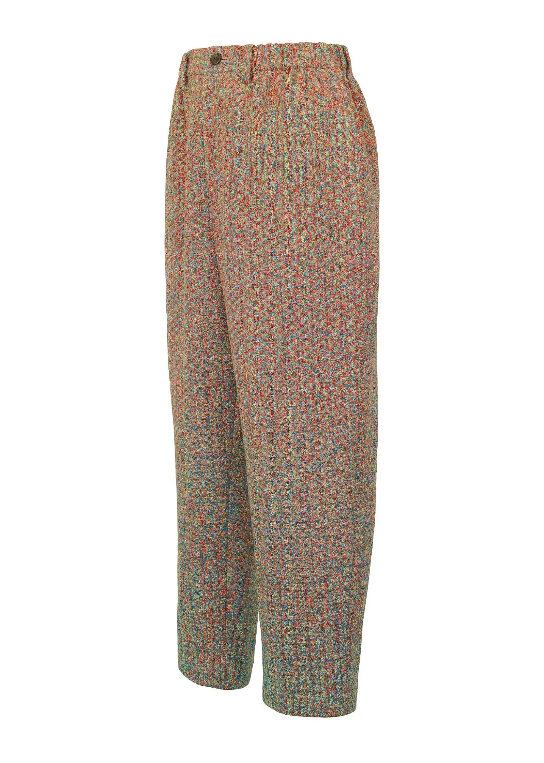 ISSEY MIYAKE Pants|Color Storm