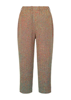 ISSEY MIYAKE Pants|Color Storm