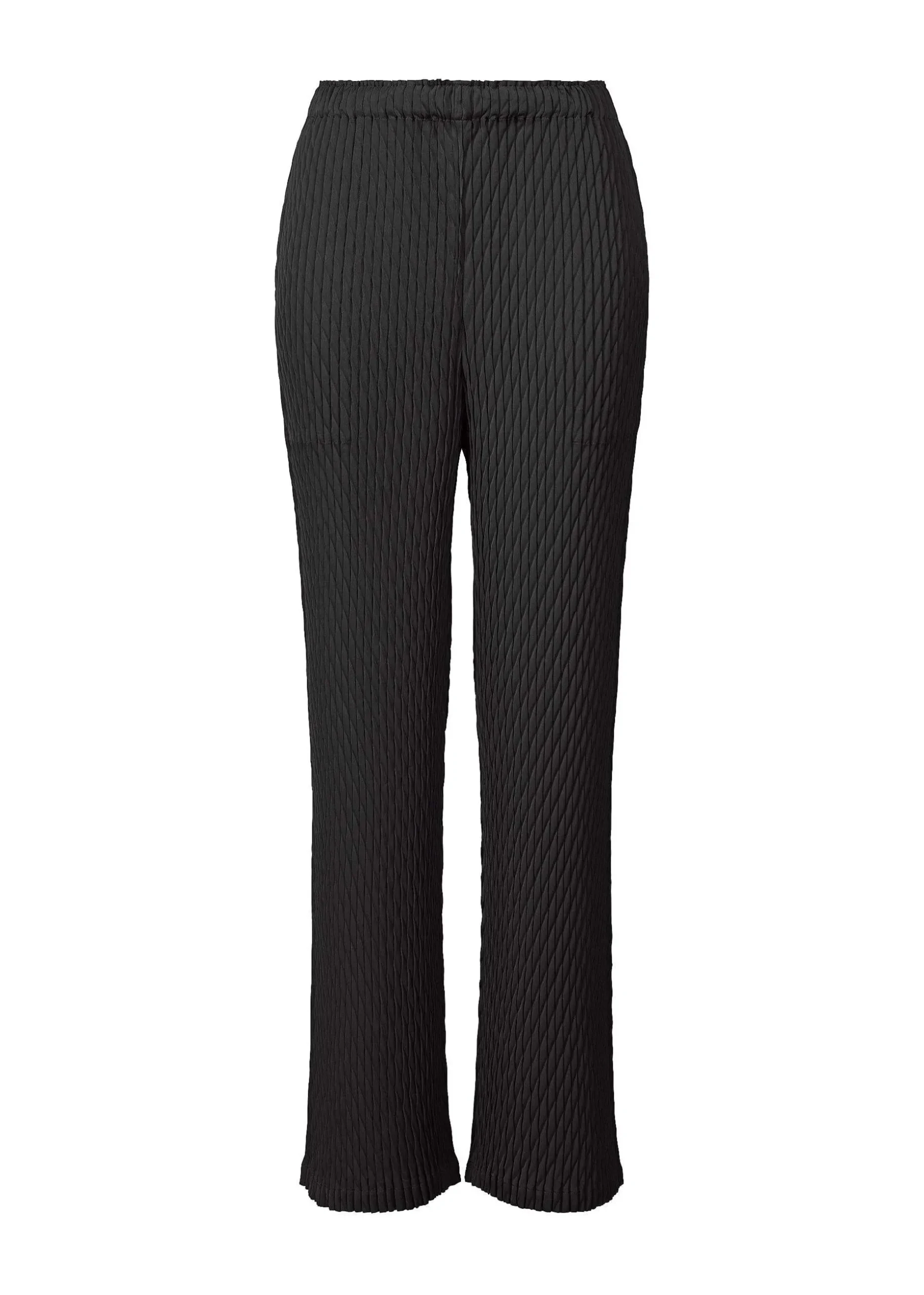 ISSEY MIYAKE Pants|Diffused Pleats