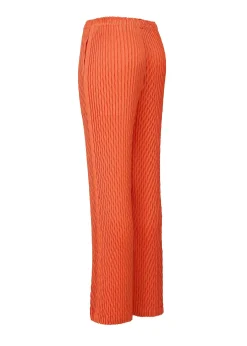 ISSEY MIYAKE Pants|Diffused Pleats