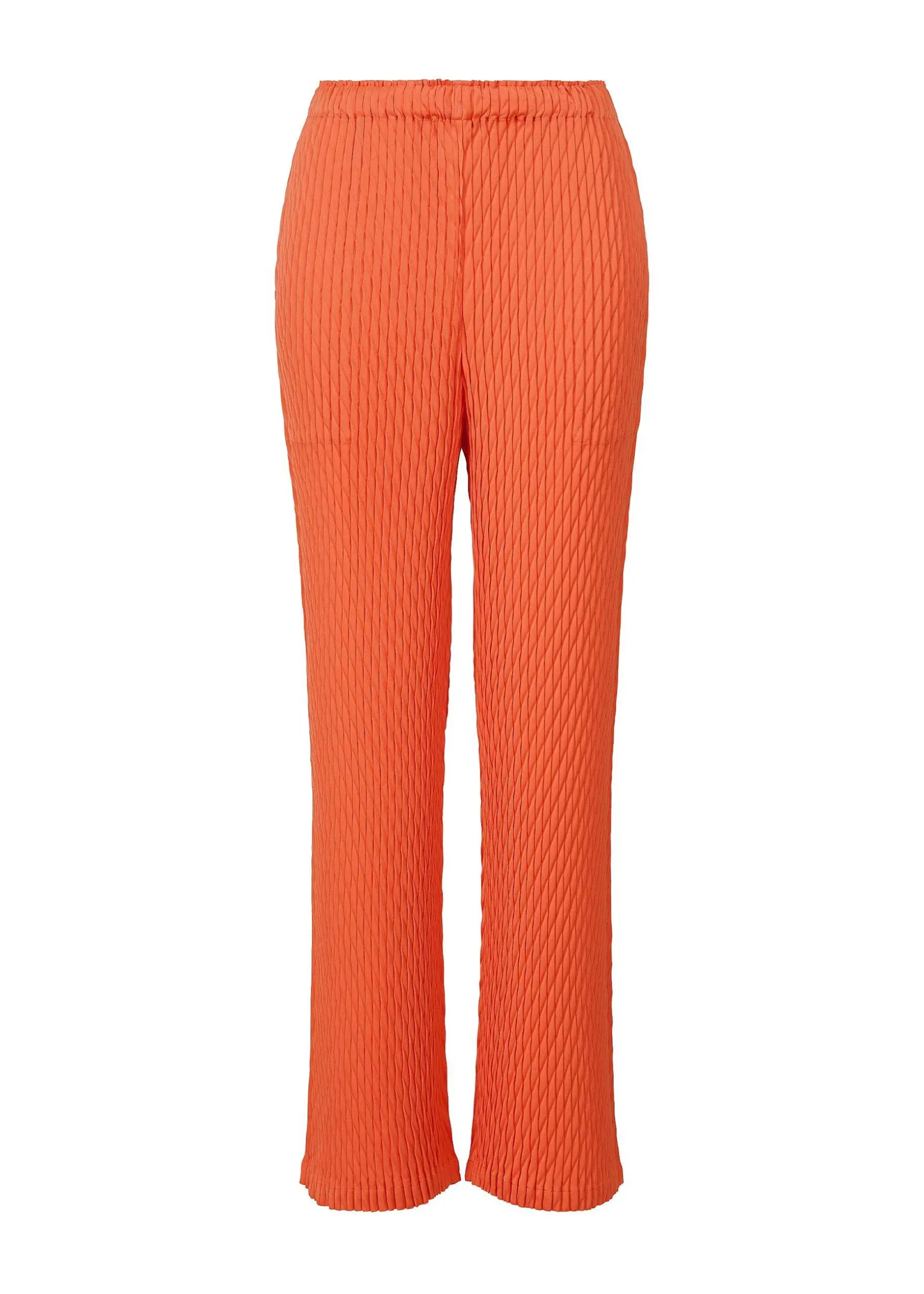 ISSEY MIYAKE Pants|Diffused Pleats