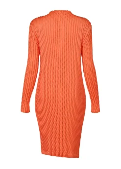 ISSEY MIYAKE Dress|Diffused Pleats