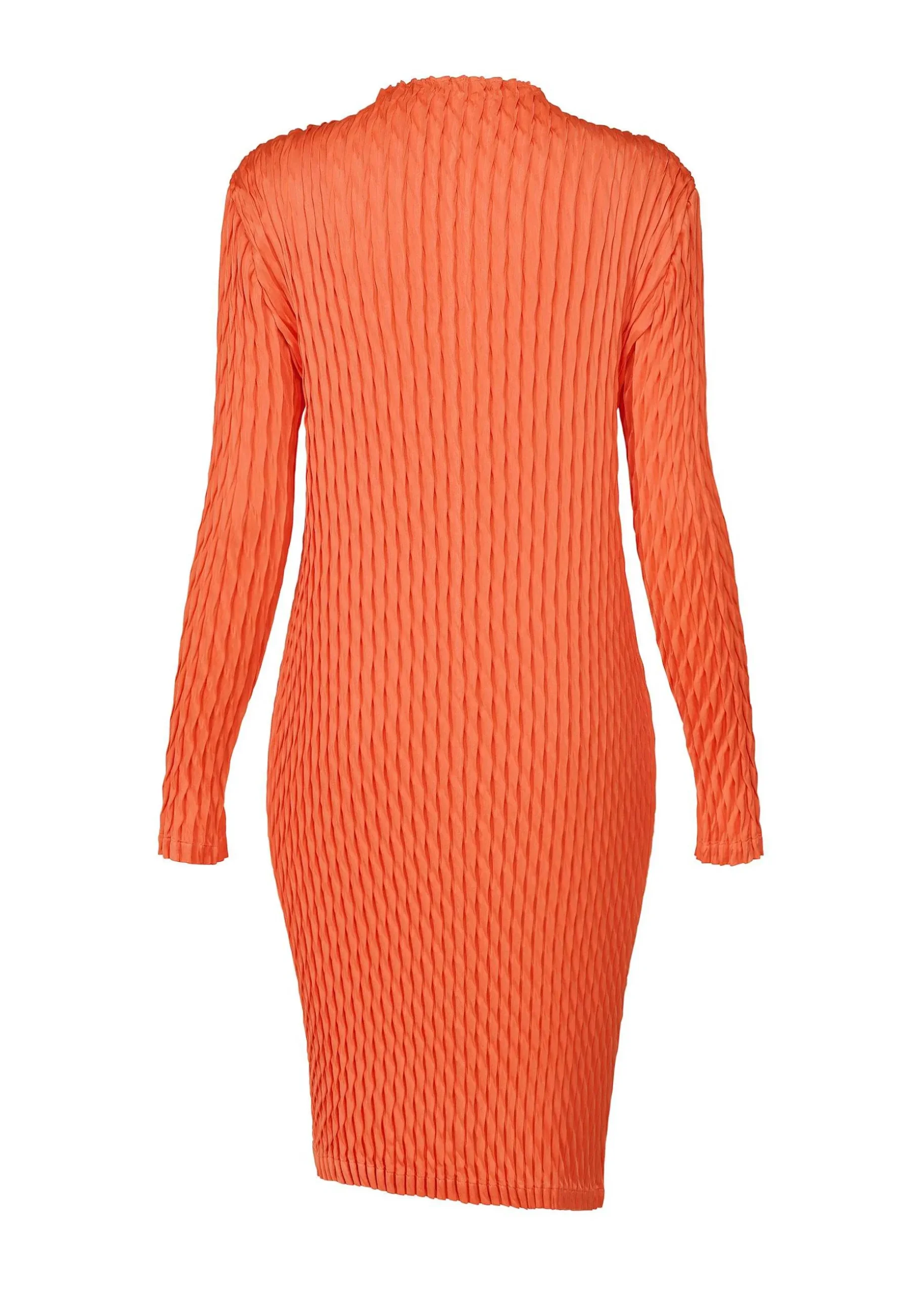 ISSEY MIYAKE Dress|Diffused Pleats