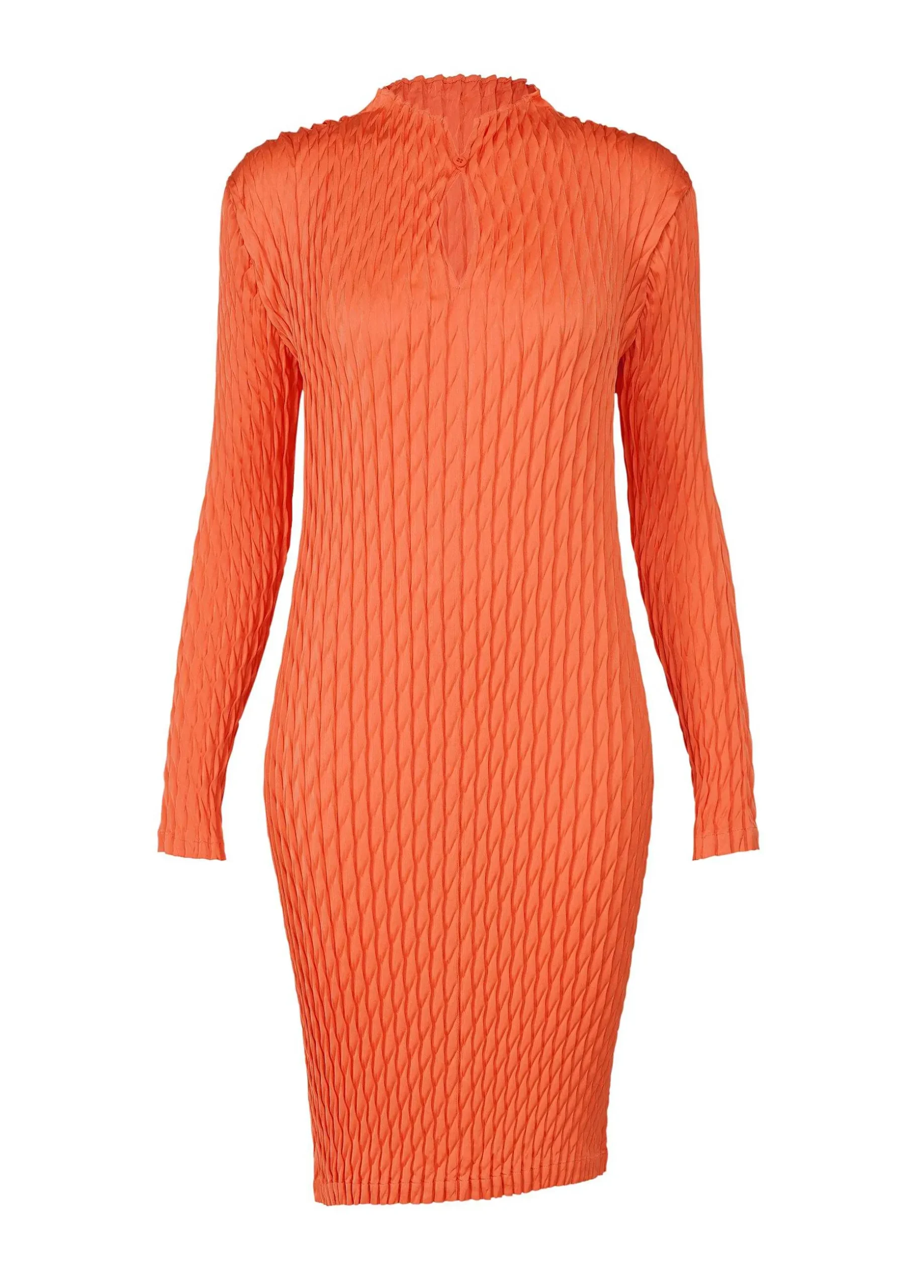 ISSEY MIYAKE Dress|Diffused Pleats
