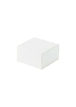 ISSEY MIYAKE Watches|F Designed By Ichiro Iwasaki (No.44)