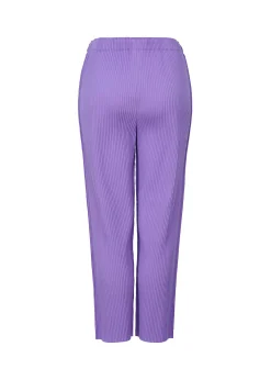 ISSEY MIYAKE Pants|Fine Knit Pleats Color 2