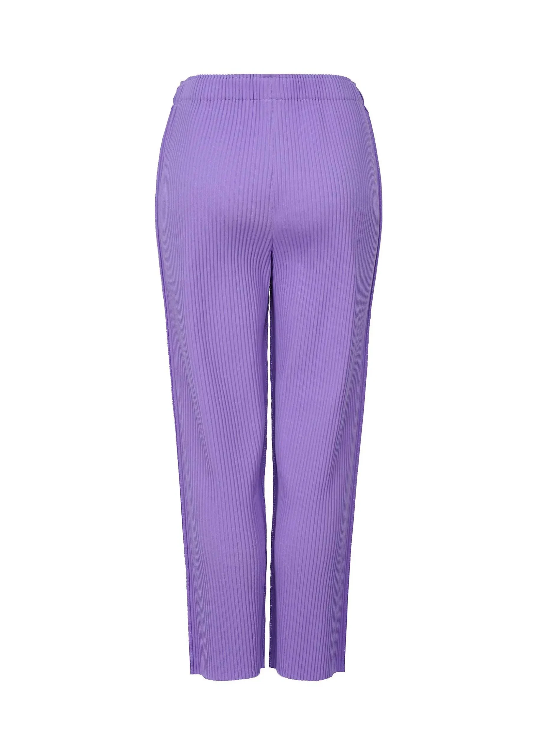 ISSEY MIYAKE Pants|Fine Knit Pleats Color 2