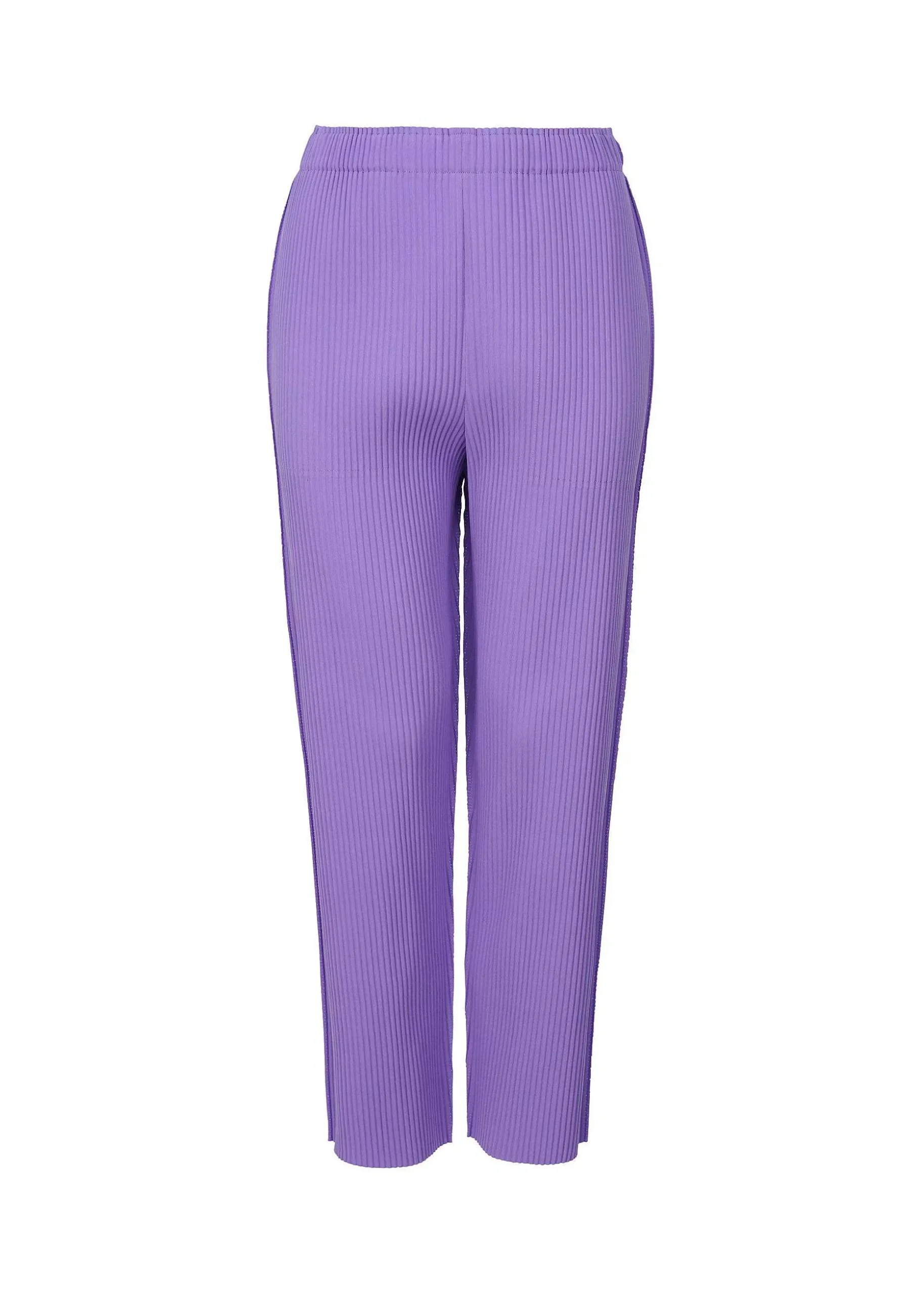 ISSEY MIYAKE Pants|Fine Knit Pleats Color 2