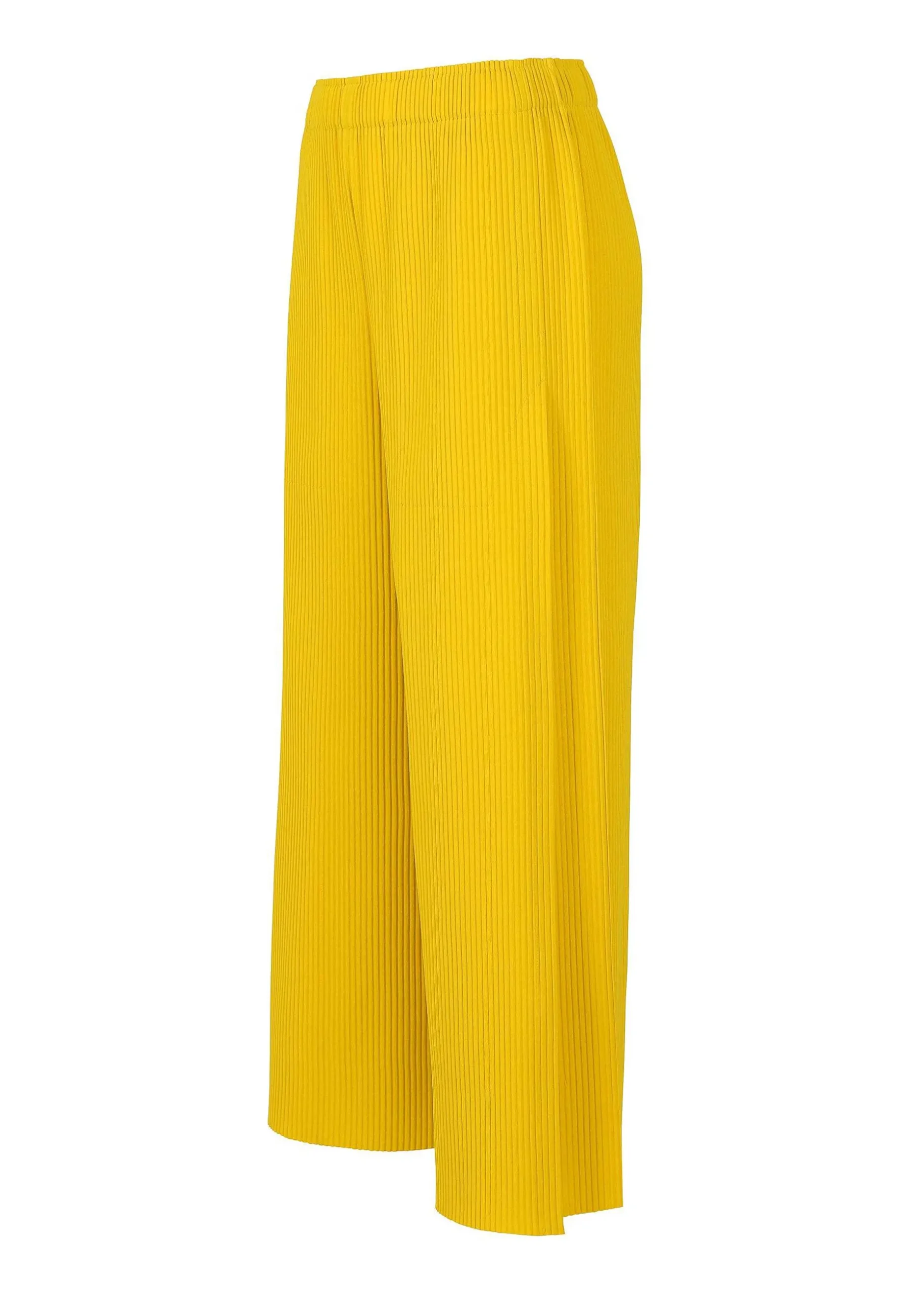 ISSEY MIYAKE Pants|Fine Knit Pleats Color 1