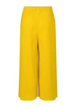 ISSEY MIYAKE Pants|Fine Knit Pleats Color 1