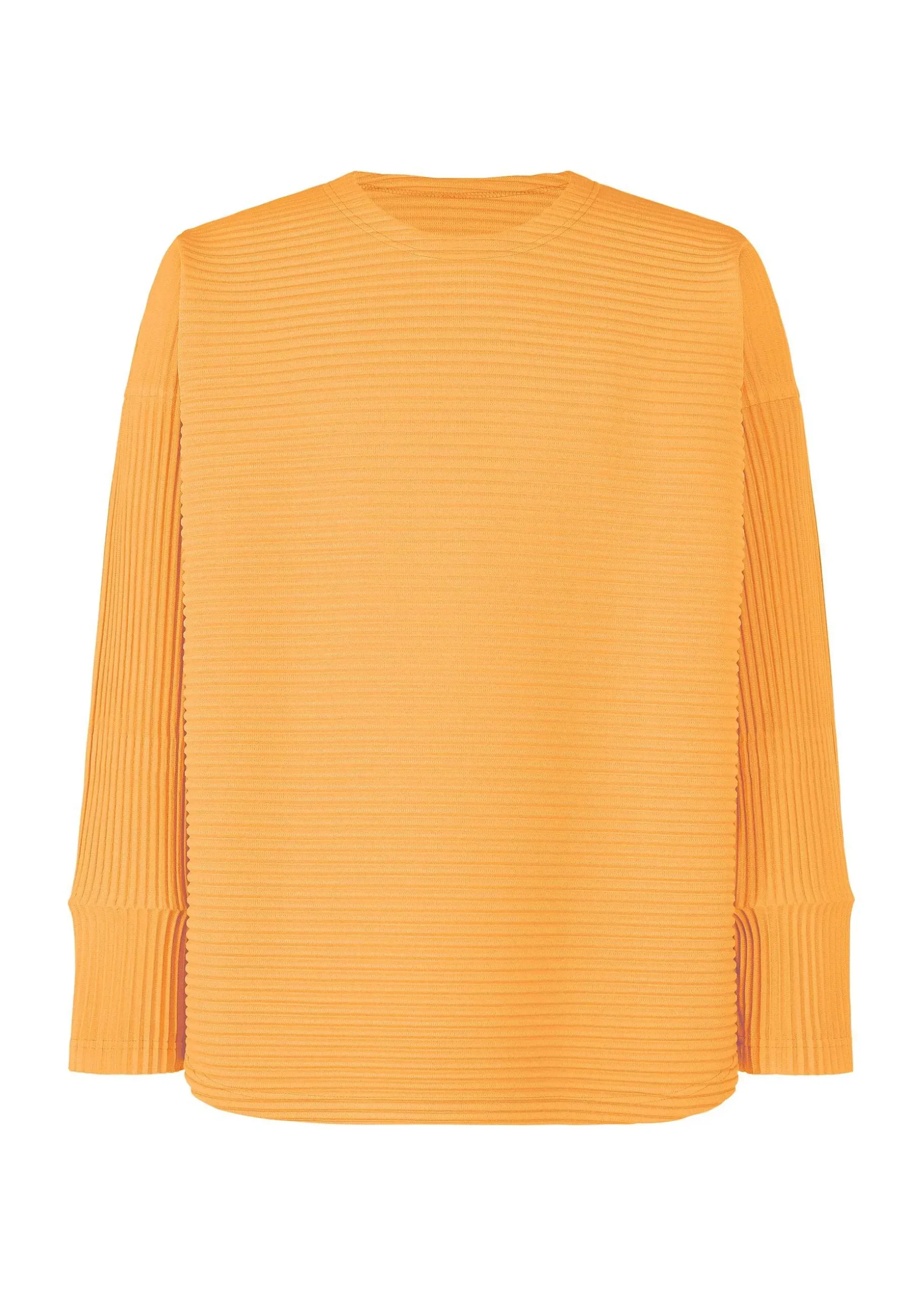 ISSEY MIYAKE Top|Horizon Pleats 2