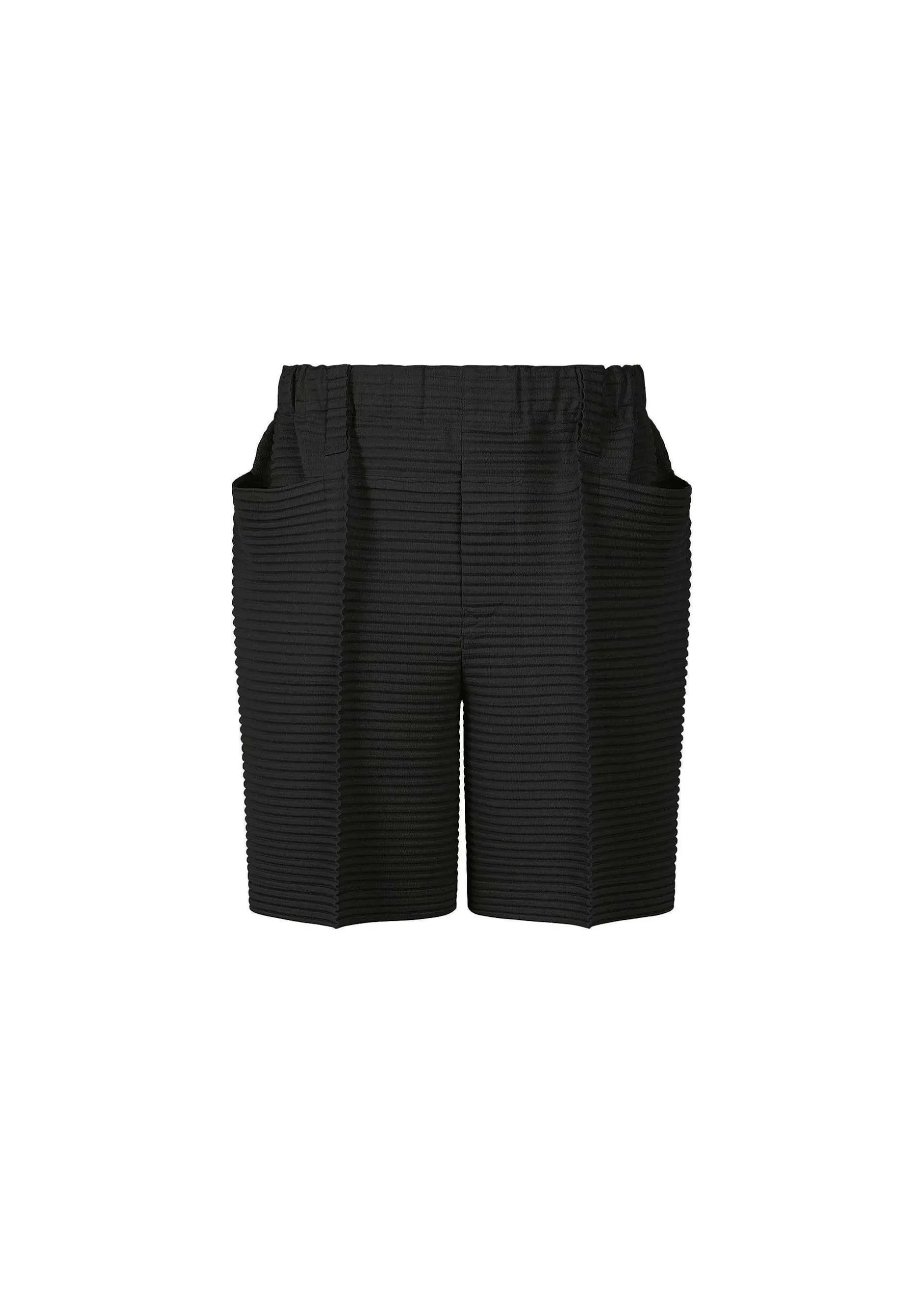 ISSEY MIYAKE Pants|Horizon Pleats 2