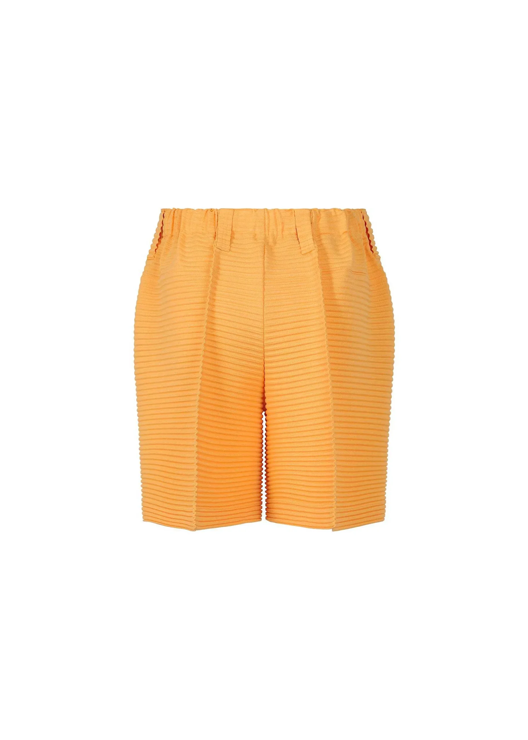 ISSEY MIYAKE Pants|Horizon Pleats 2