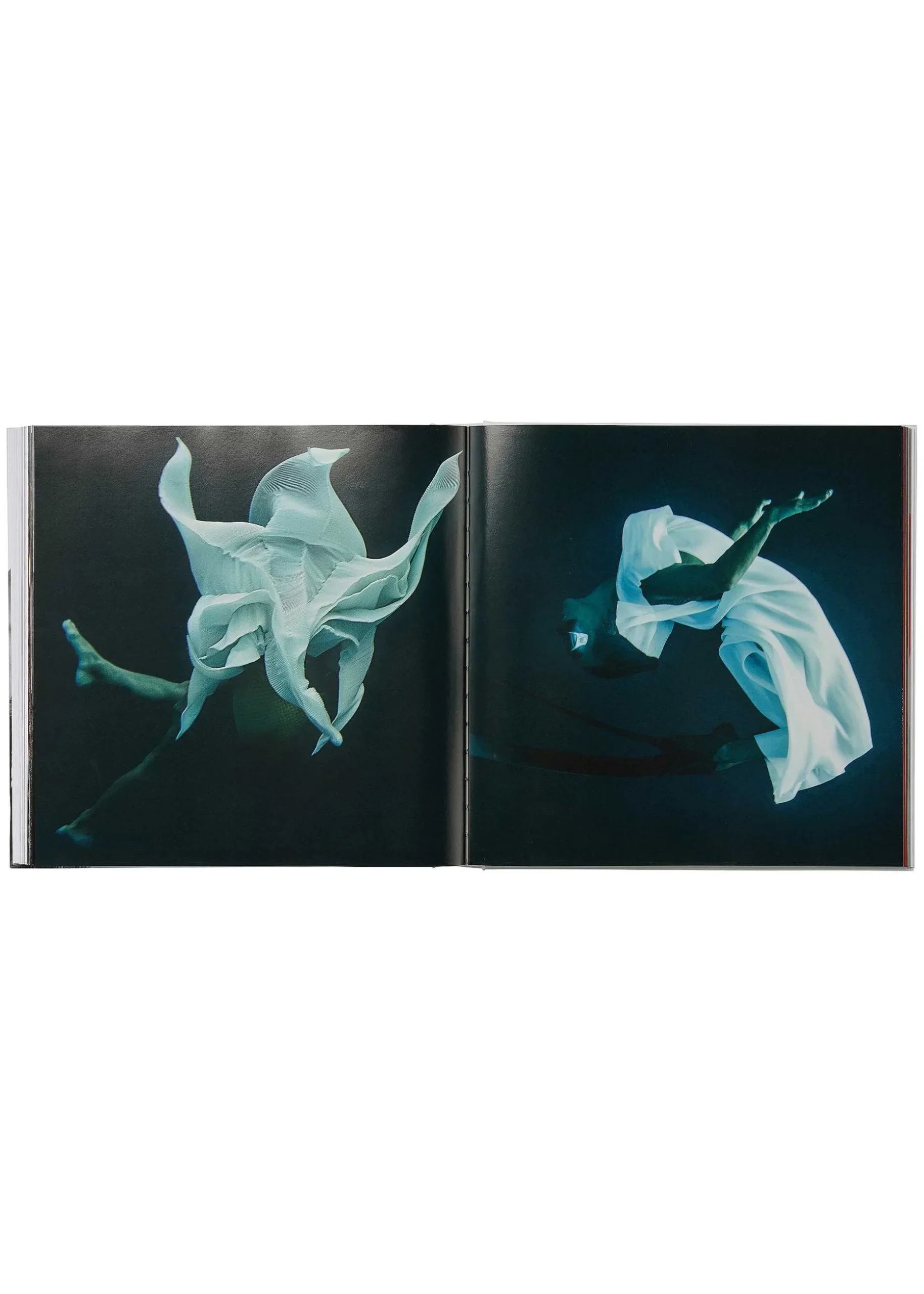 ISSEY MIYAKE Books| (Taschen) (No.01)