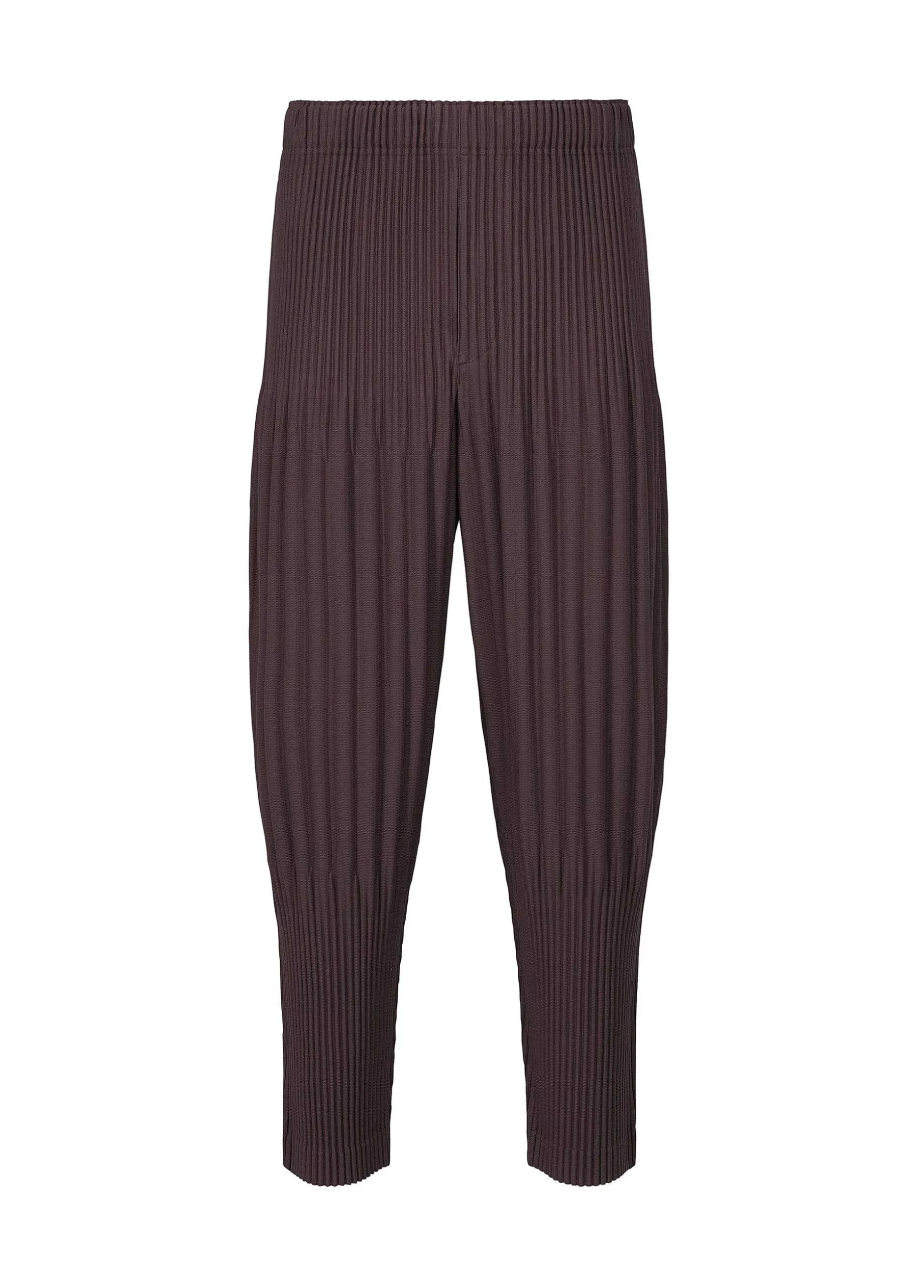 ISSEY MIYAKE Pants|Monthly Color December