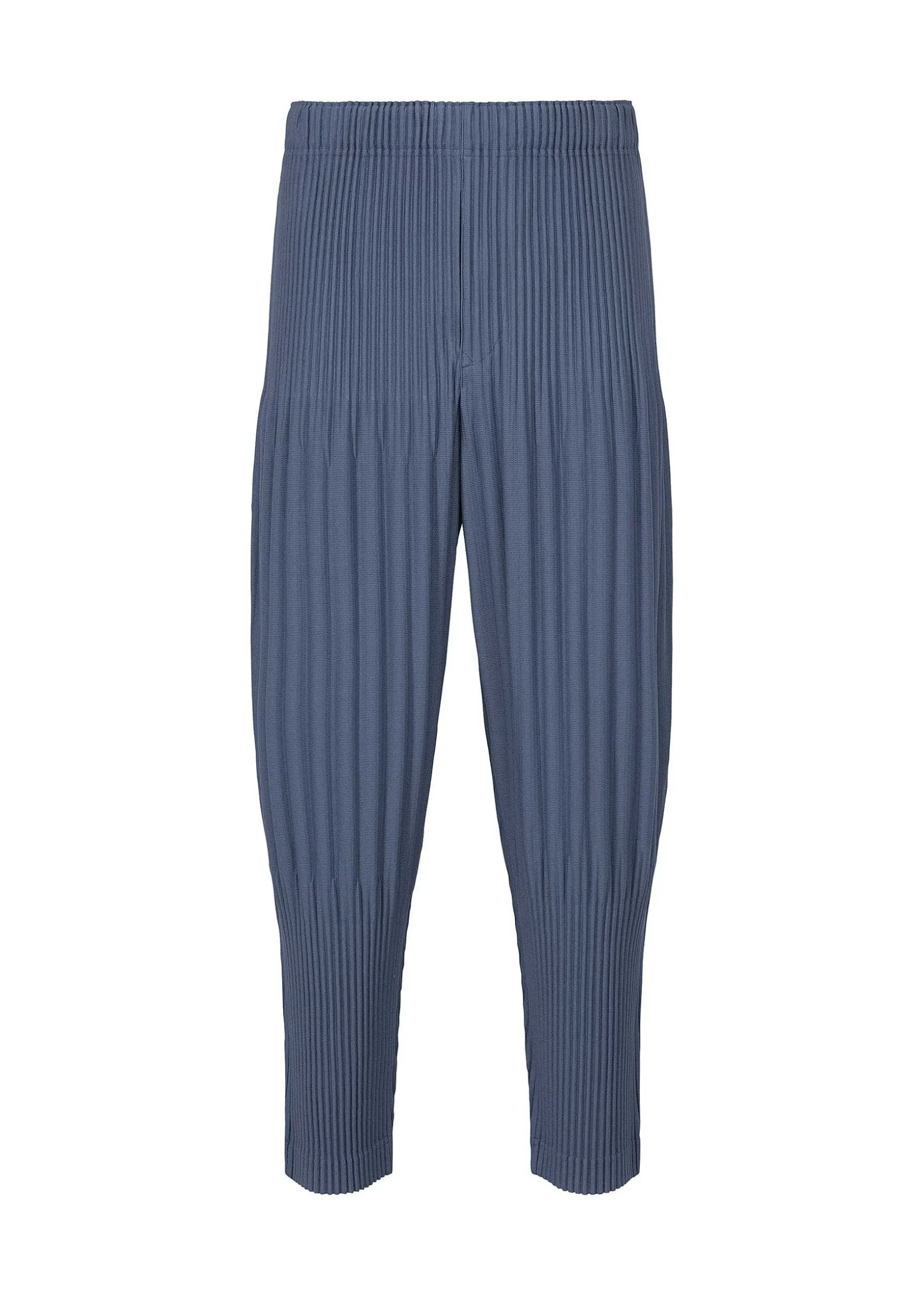 ISSEY MIYAKE Pants|Monthly Color December