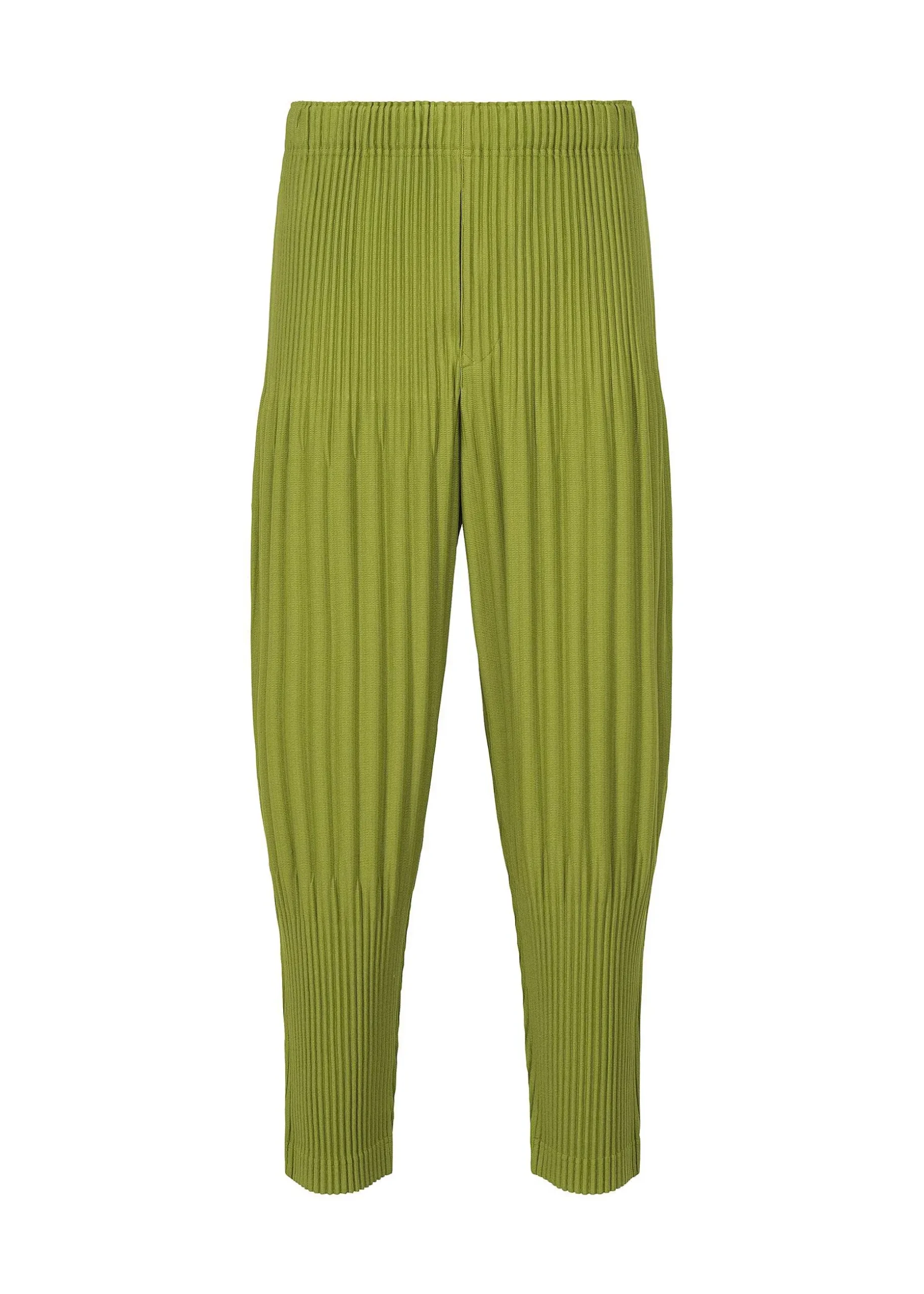 ISSEY MIYAKE Pants|Monthly Color December