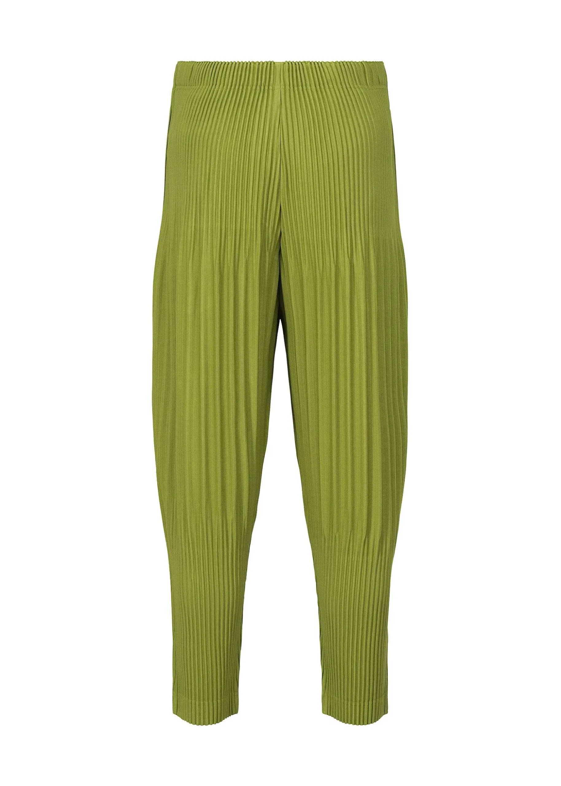 ISSEY MIYAKE Pants|Monthly Color December