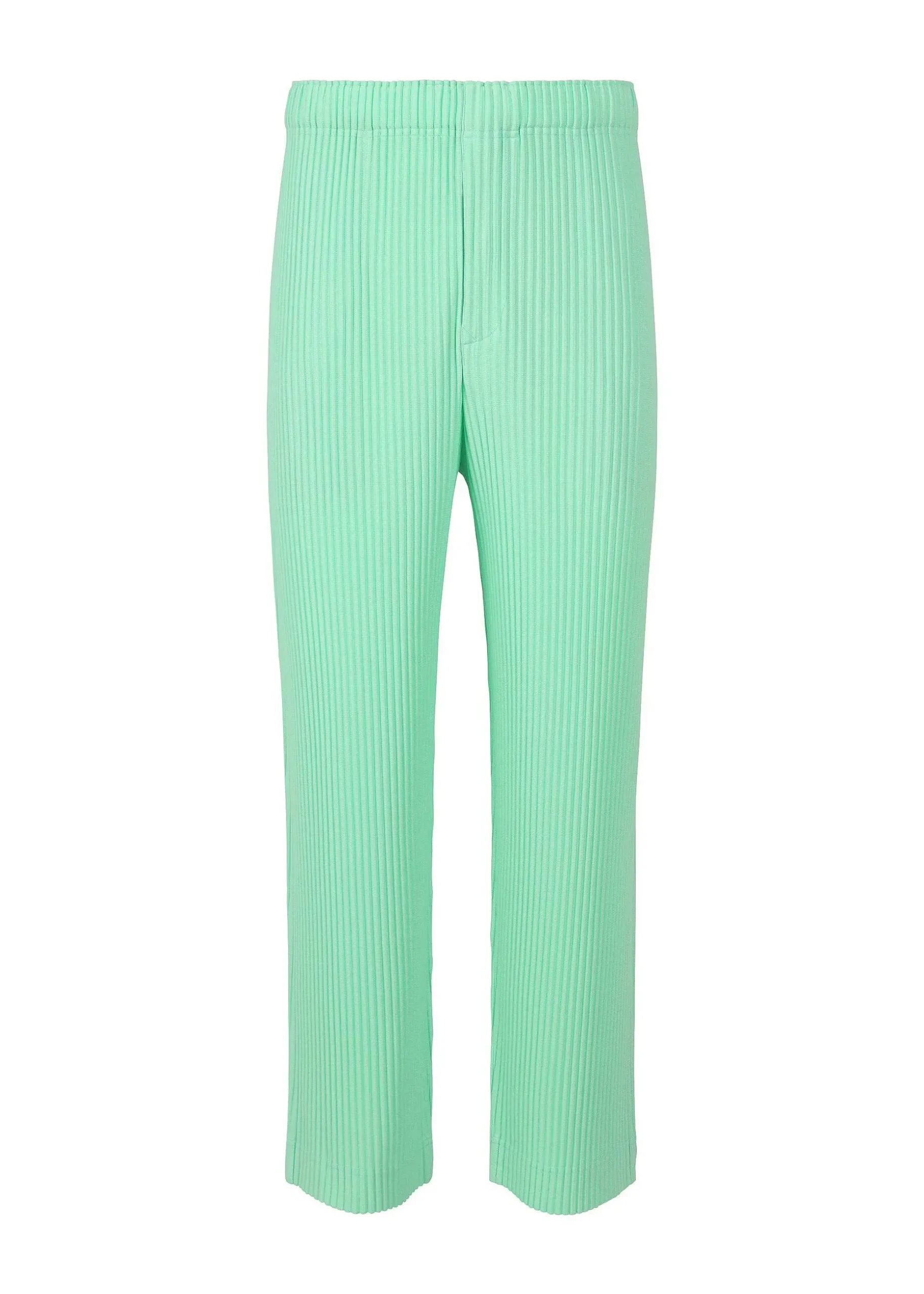 ISSEY MIYAKE Pants|Monthly Color January