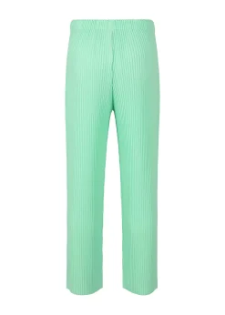 ISSEY MIYAKE Pants|Monthly Color January