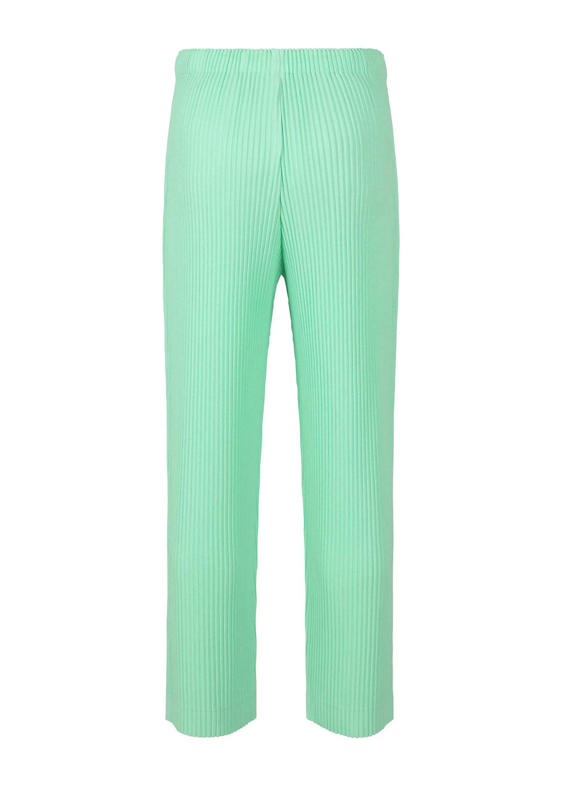 ISSEY MIYAKE Pants|Monthly Color January