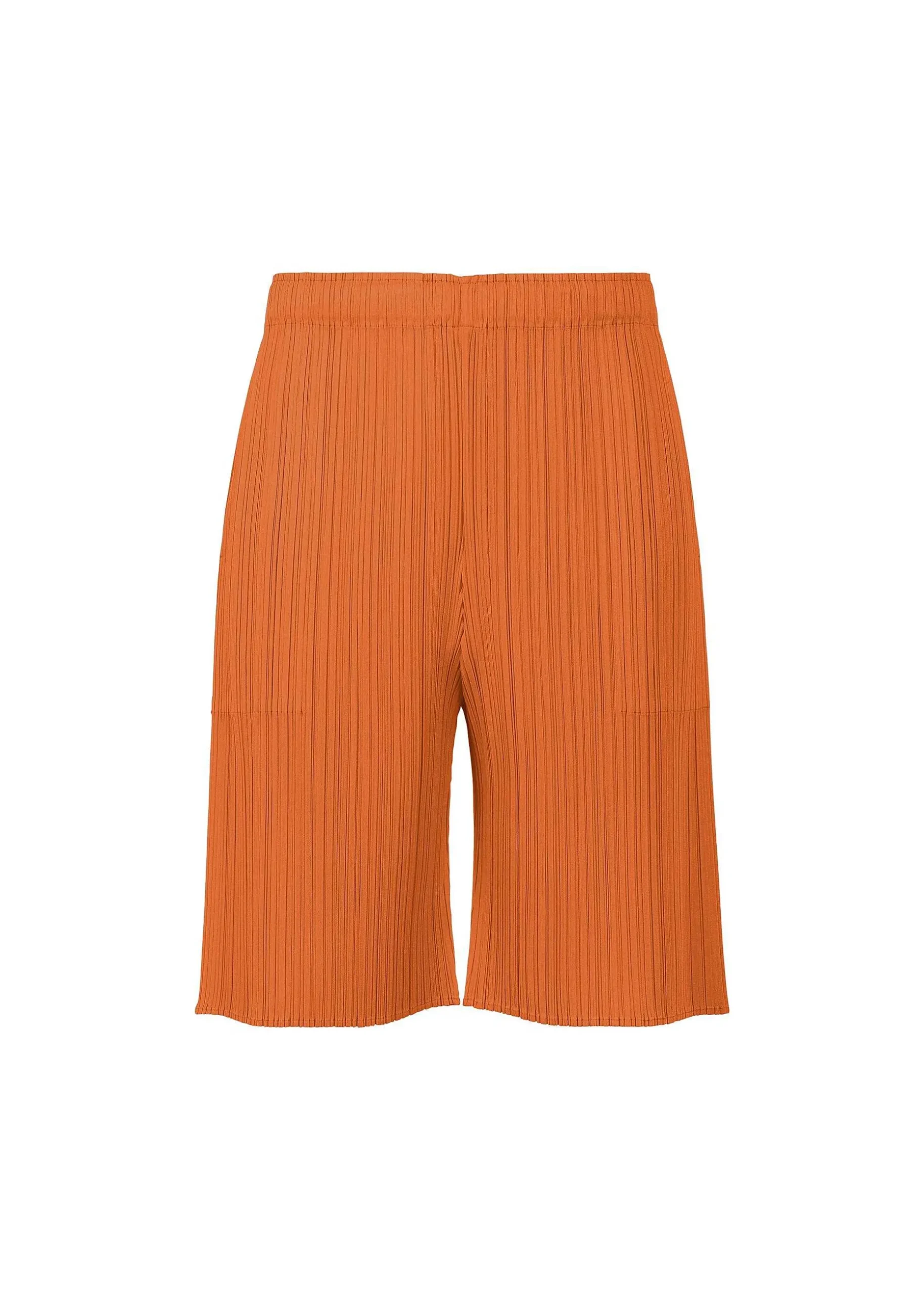 ISSEY MIYAKE Pants|Monthly Colors : April