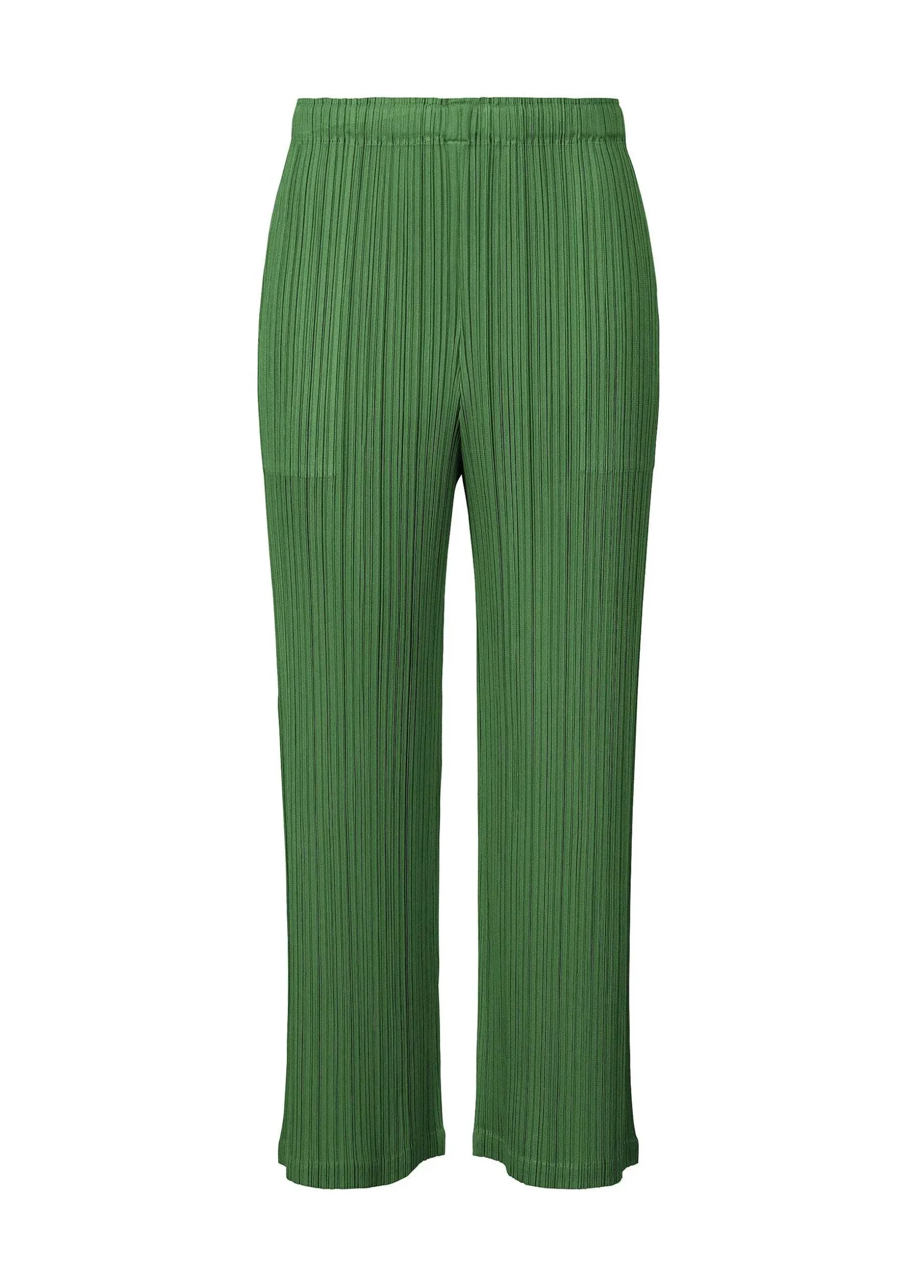 ISSEY MIYAKE Pants|Monthly Colors : February