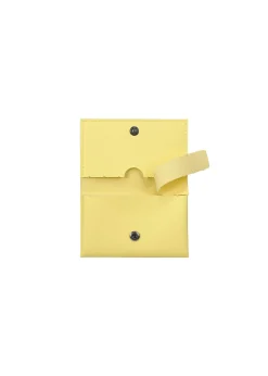 ISSEY MIYAKE Wallets & Small Items|Package