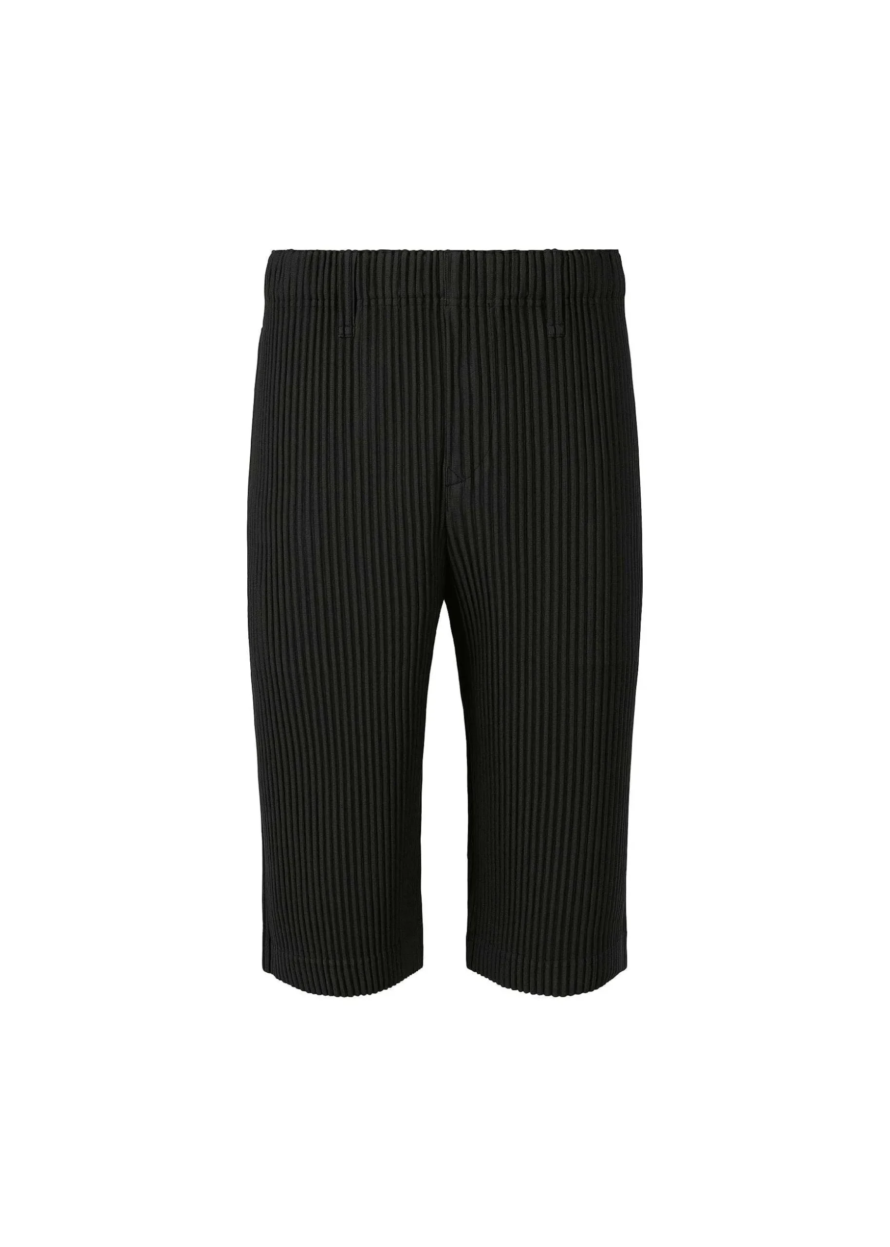 ISSEY MIYAKE Pants|Tailored Pleats 2