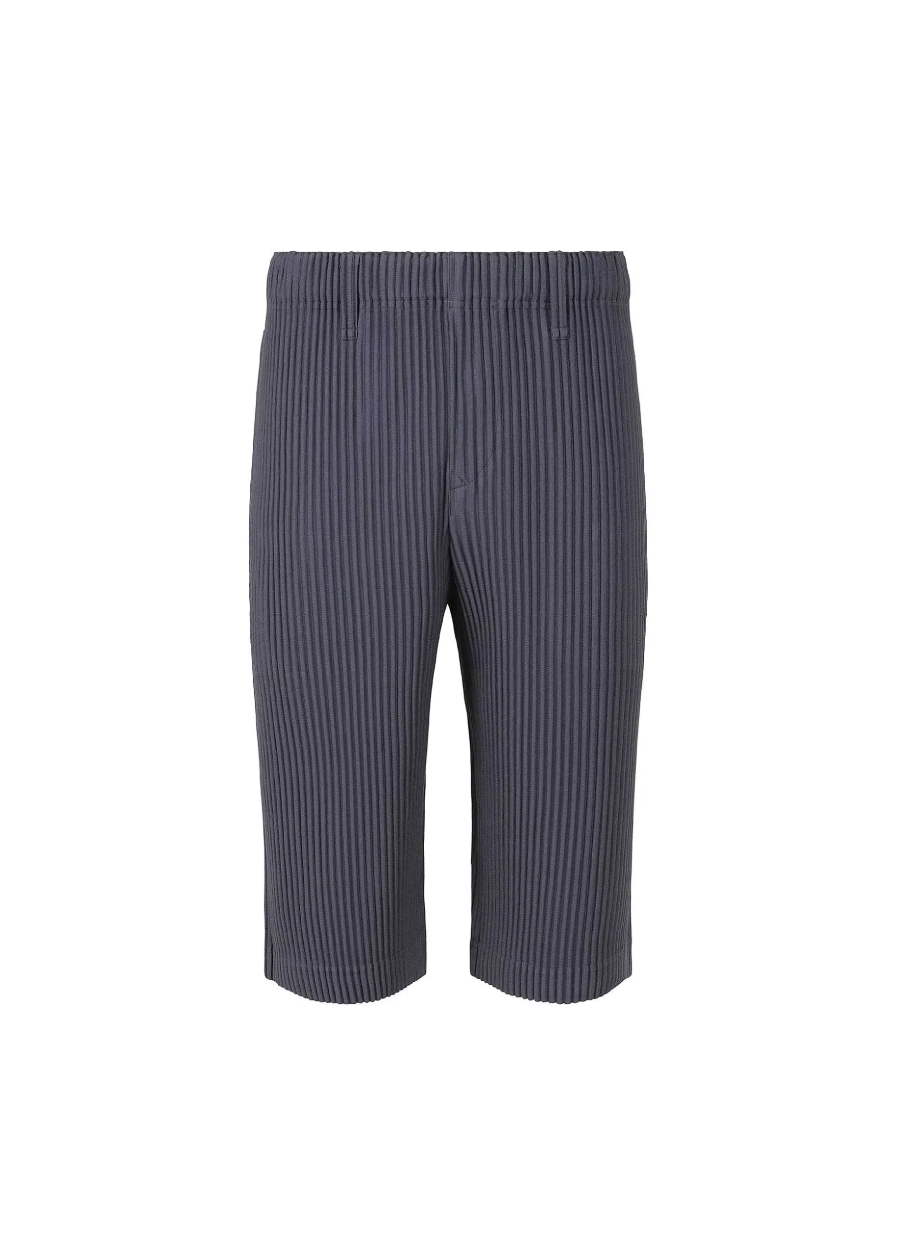 ISSEY MIYAKE Pants|Tailored Pleats 2