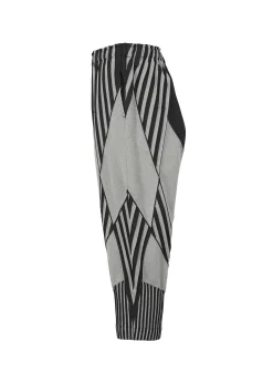 ISSEY MIYAKE Pants|Type-S 002