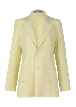 ISSEY MIYAKE Jackets & Blazers|Wide Stripe Knit