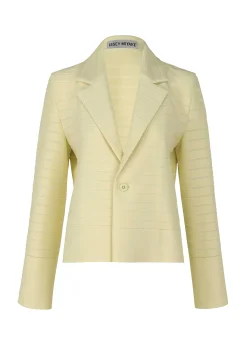 ISSEY MIYAKE Jackets & Blazers|Wide Stripe Knit