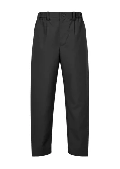 ISSEY MIYAKE Pants|Wings