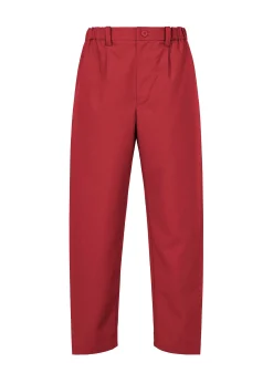 ISSEY MIYAKE Pants|Wings
