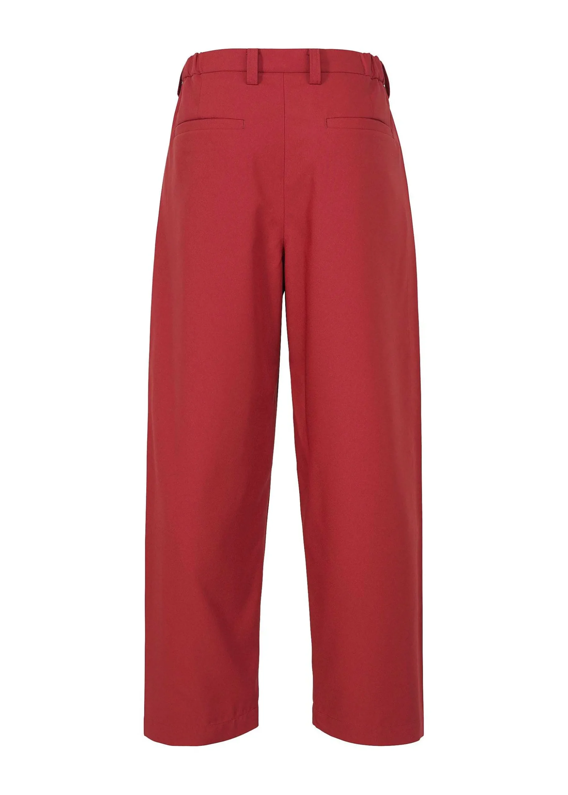 ISSEY MIYAKE Pants|Wings